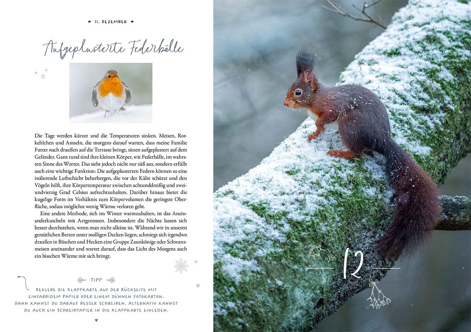 Winter Moments in Nature – der Adventskalender (Mängelexemplar)