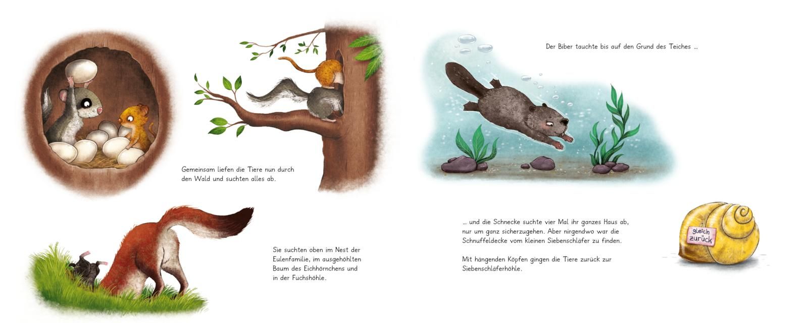 Der kleine Siebenschläfer 7: Die Geschichte vom kleinen Siebenschläfer, der seine Schnuffeldecke verloren hatte (Mängelexemplar)