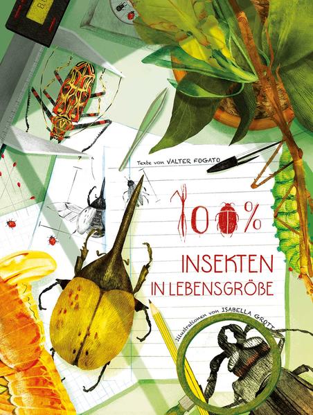 100% Insekten in Lebensgröße