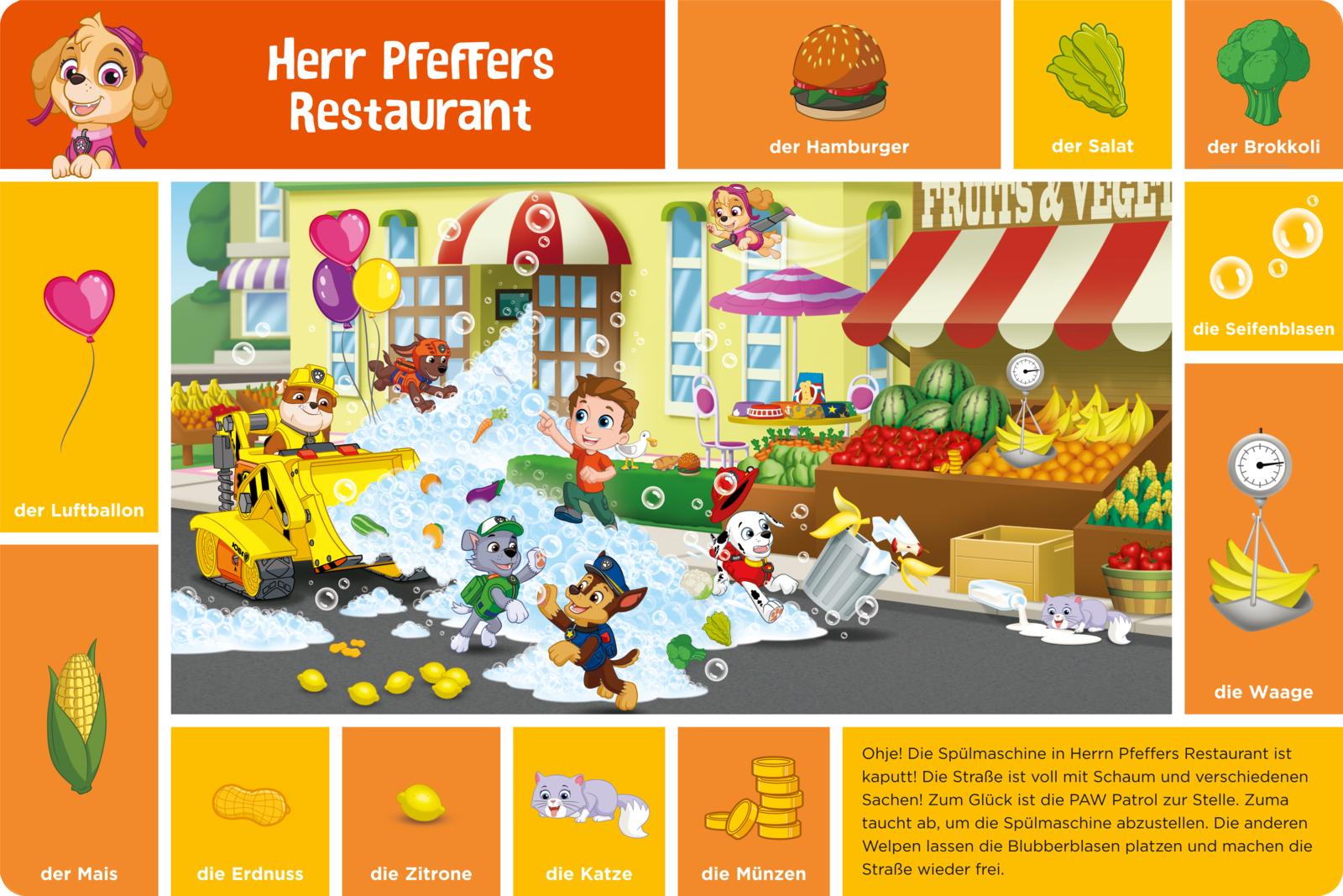 PAW Patrol Lernbuch: Mein erstes Wörterbuch (Mängelexemplar)