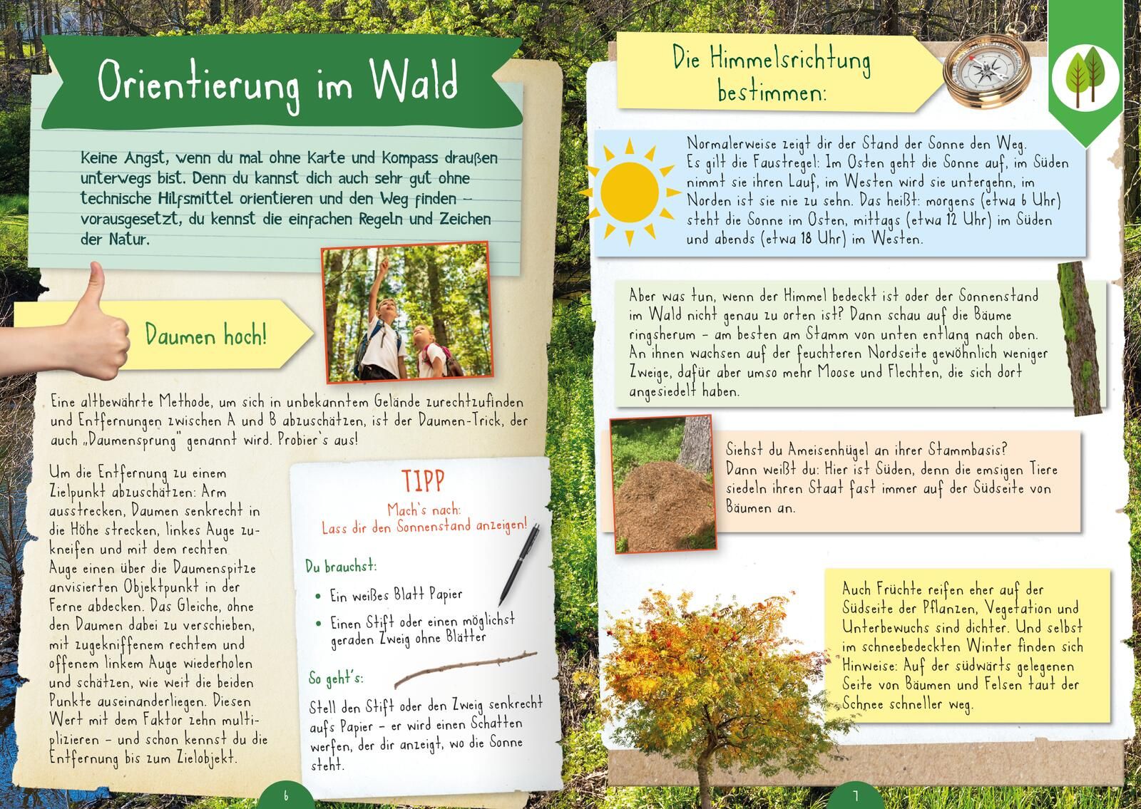 Naturforscher-Kids – Mitmachbuch im Wald (Mängelexemplar)