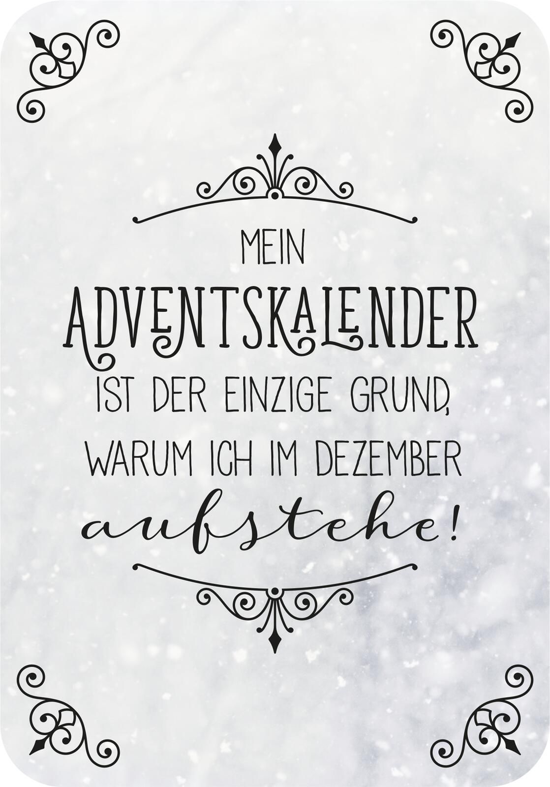 Klein, aber gemein (Mängelexemplar)