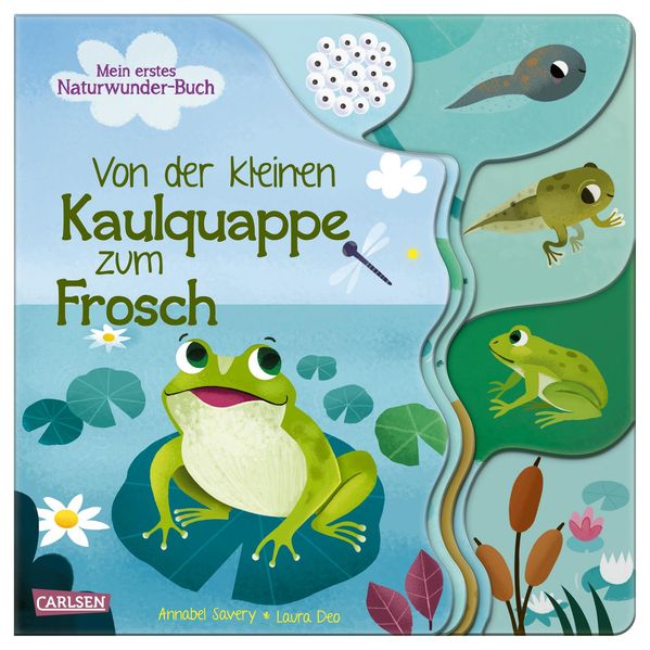 Von der kleinen Kaulquappe zum Frosch (Mängelexemplar)