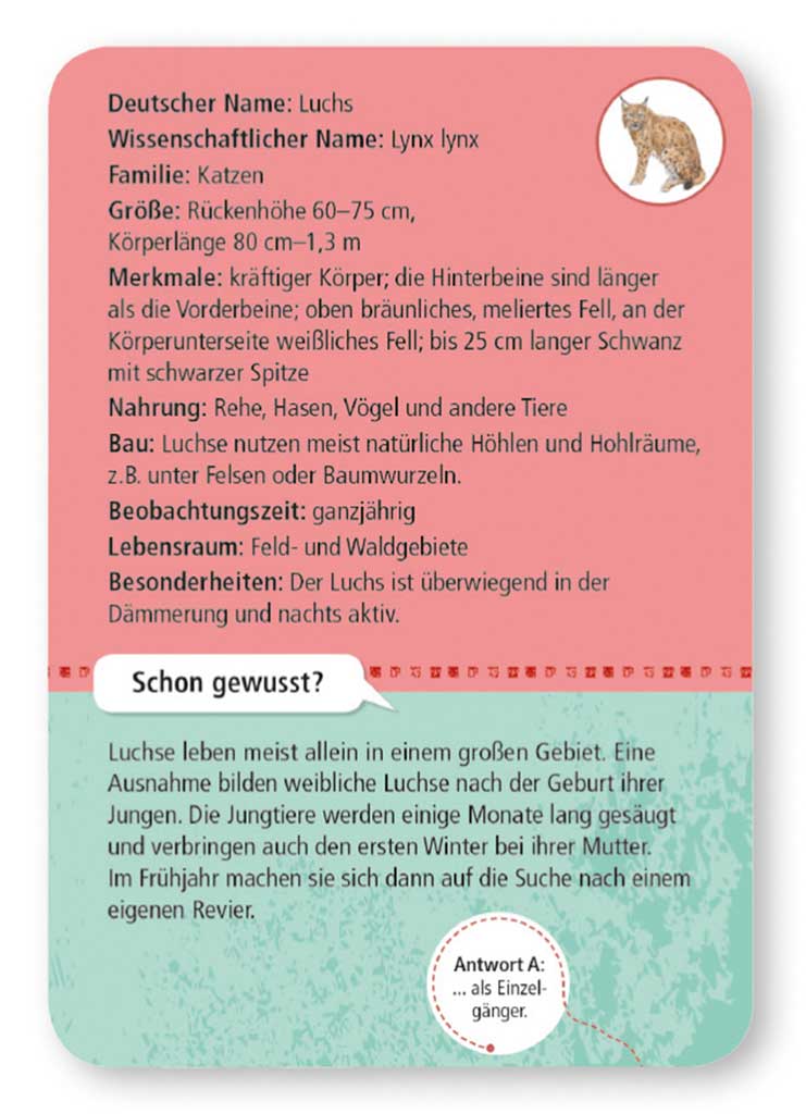X_Expedition Natur - 50 heimische Wald- & Wildtiere