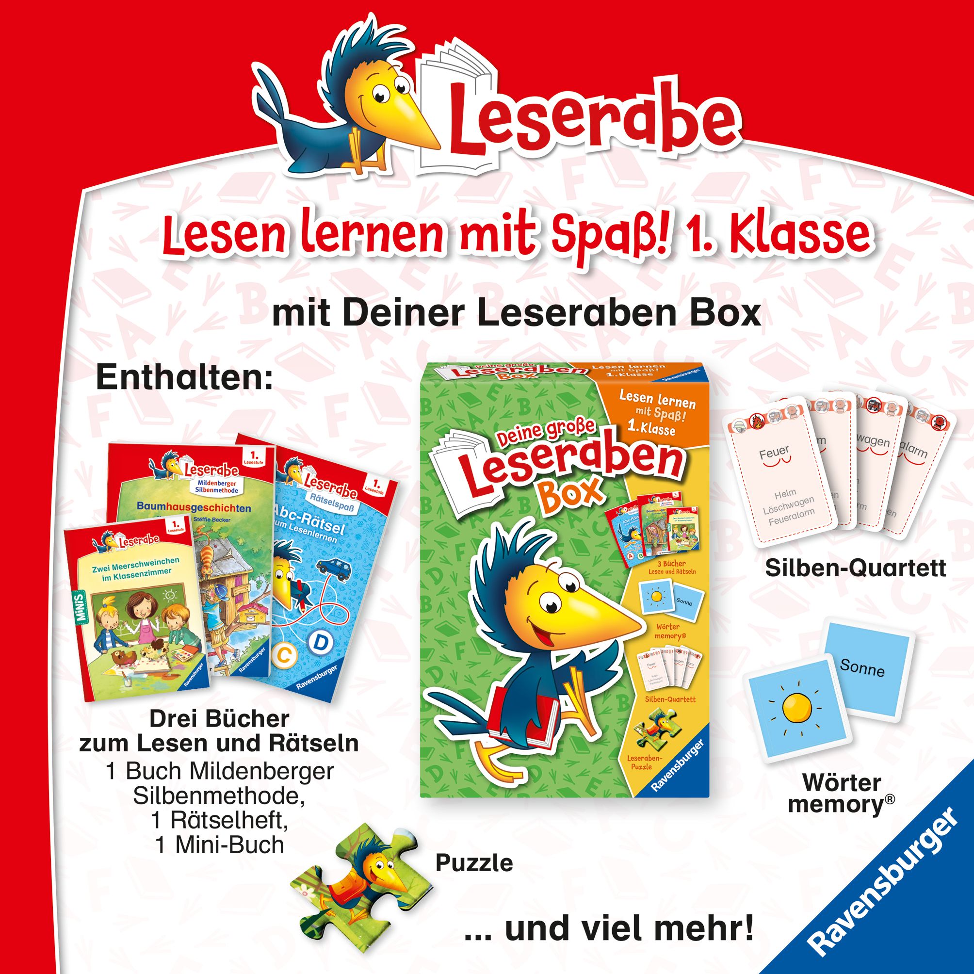 Leserabe mit Mildenberger Silbenmethode - Das tollste Pony der Welt (Mängelexemplar)