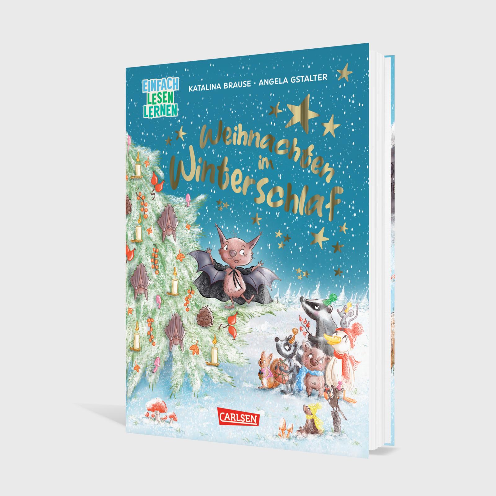 Weihnachten im Winterschlaf (Mängelexemplar)