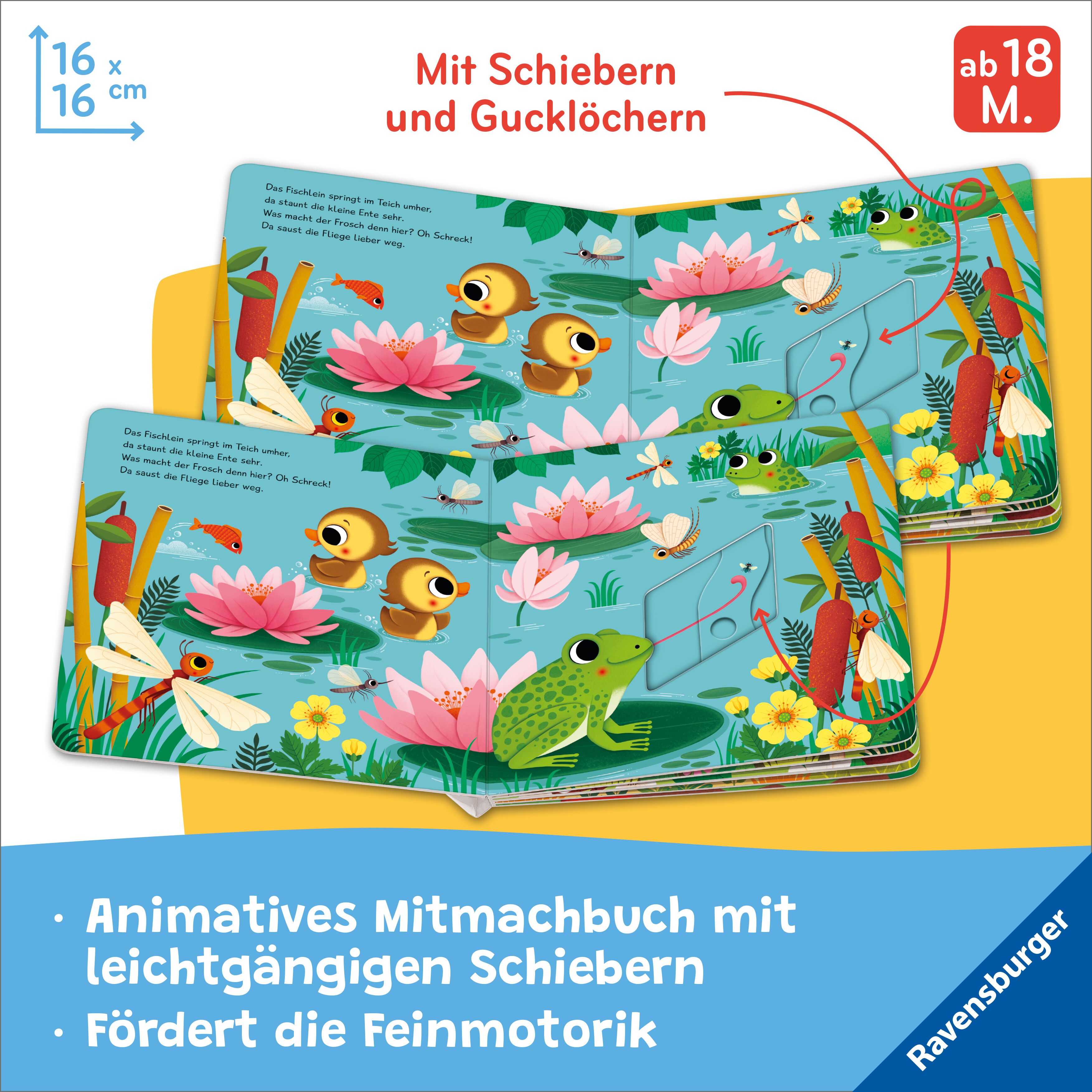 Mein Schiebe-Mitmachbuch - Kleine Tiere (Mängelexemplar)