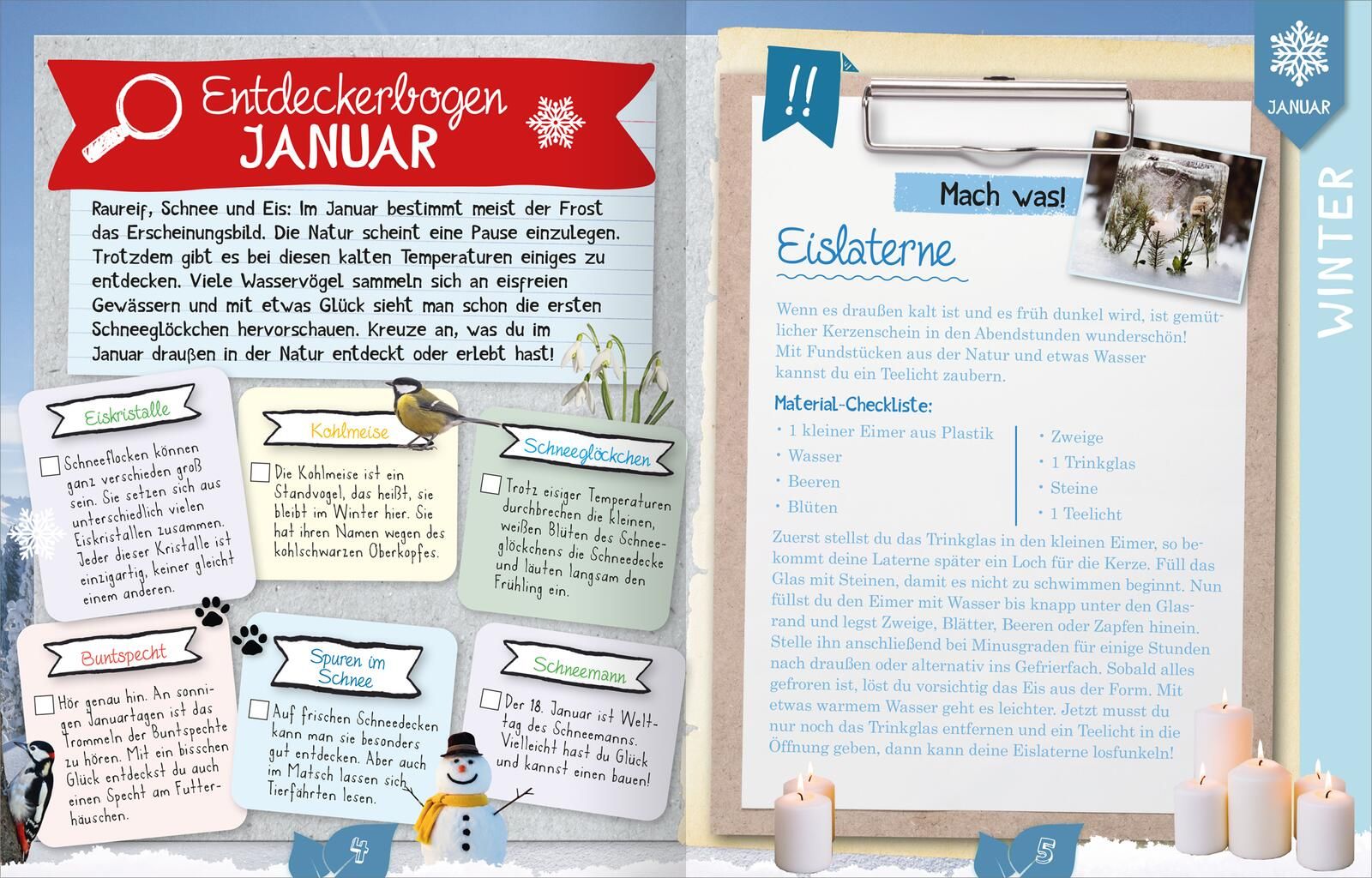 Naturforscher-Kids – Durch das Jahr (Mängelexemplar)