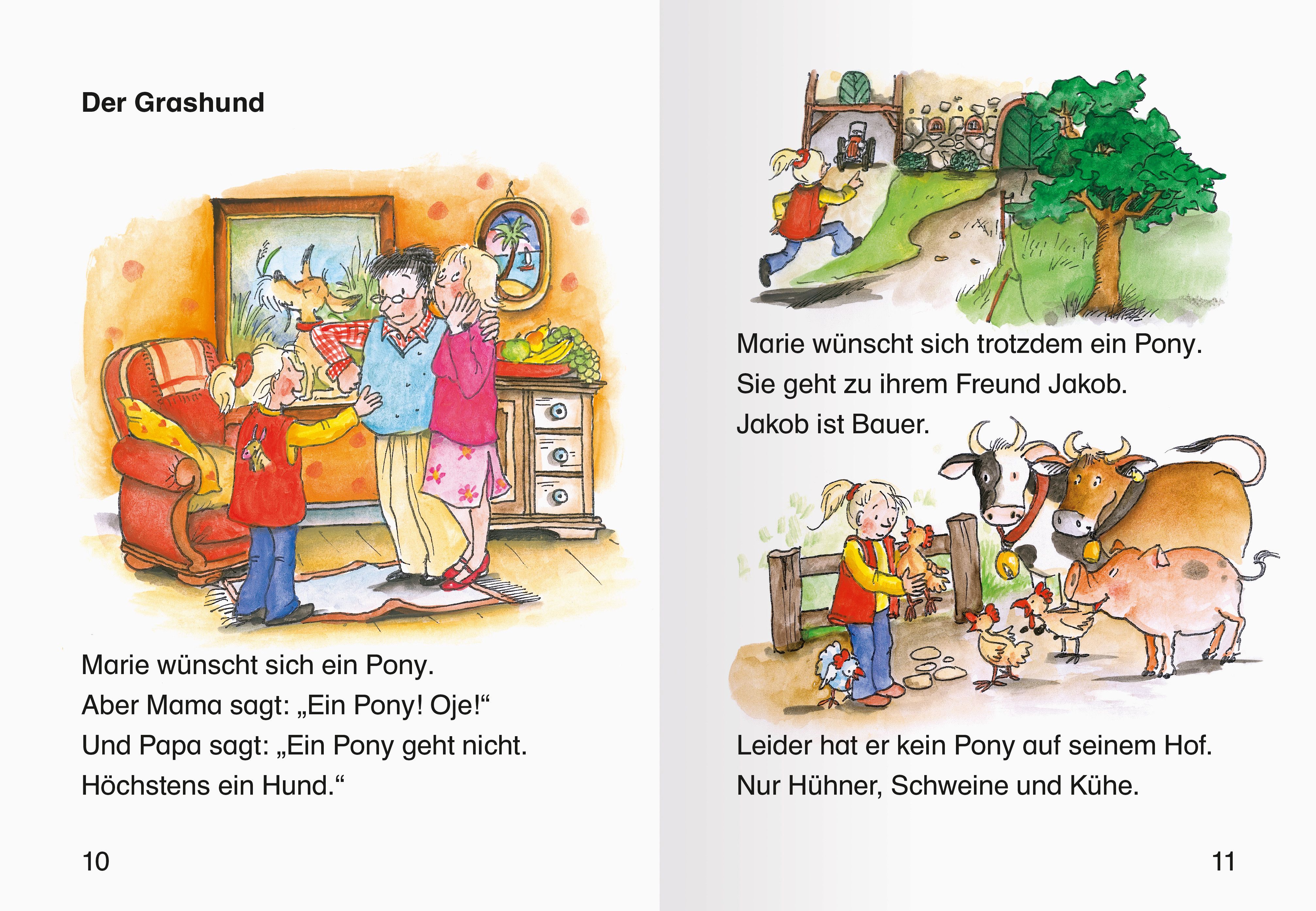 Leserabe Sonderausgaben - Zauberhafte Erstlesegeschichten von Pferden und Geheimnissen (Mängelexemplar)