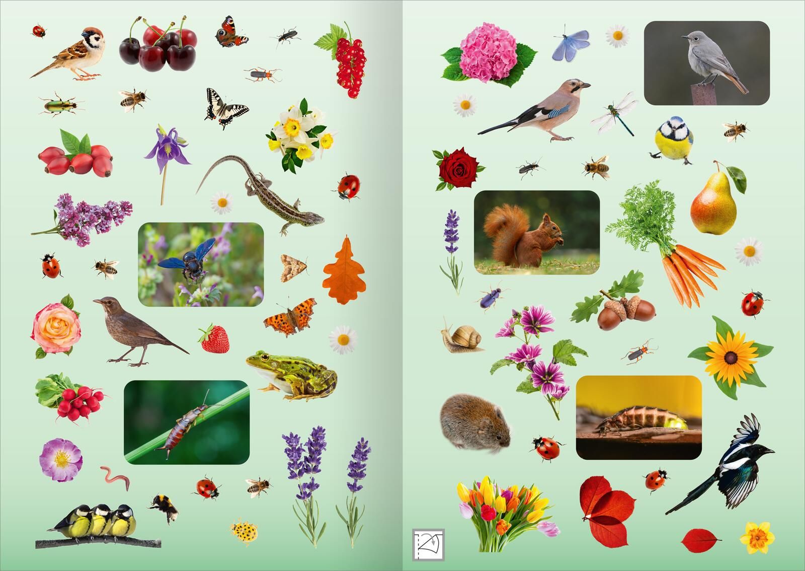 Naturforscher-Kids – Fotosticker Im Garten
