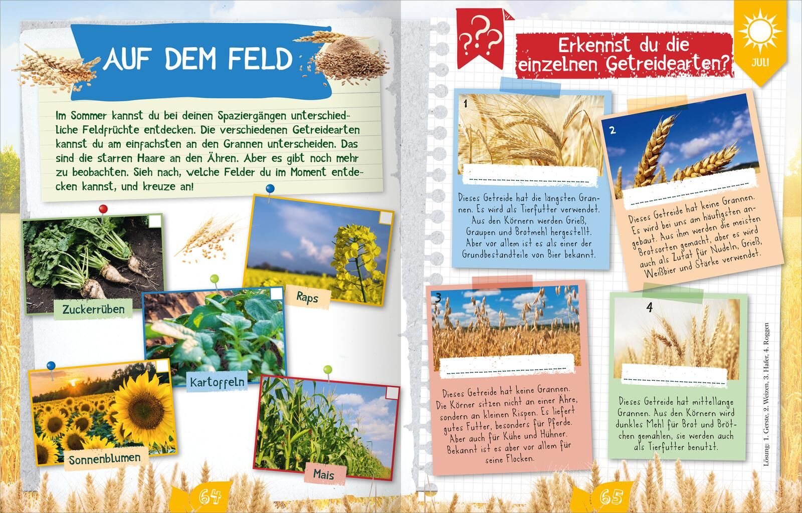 Naturforscher-Kids – Durch das Jahr (Mängelexemplar)