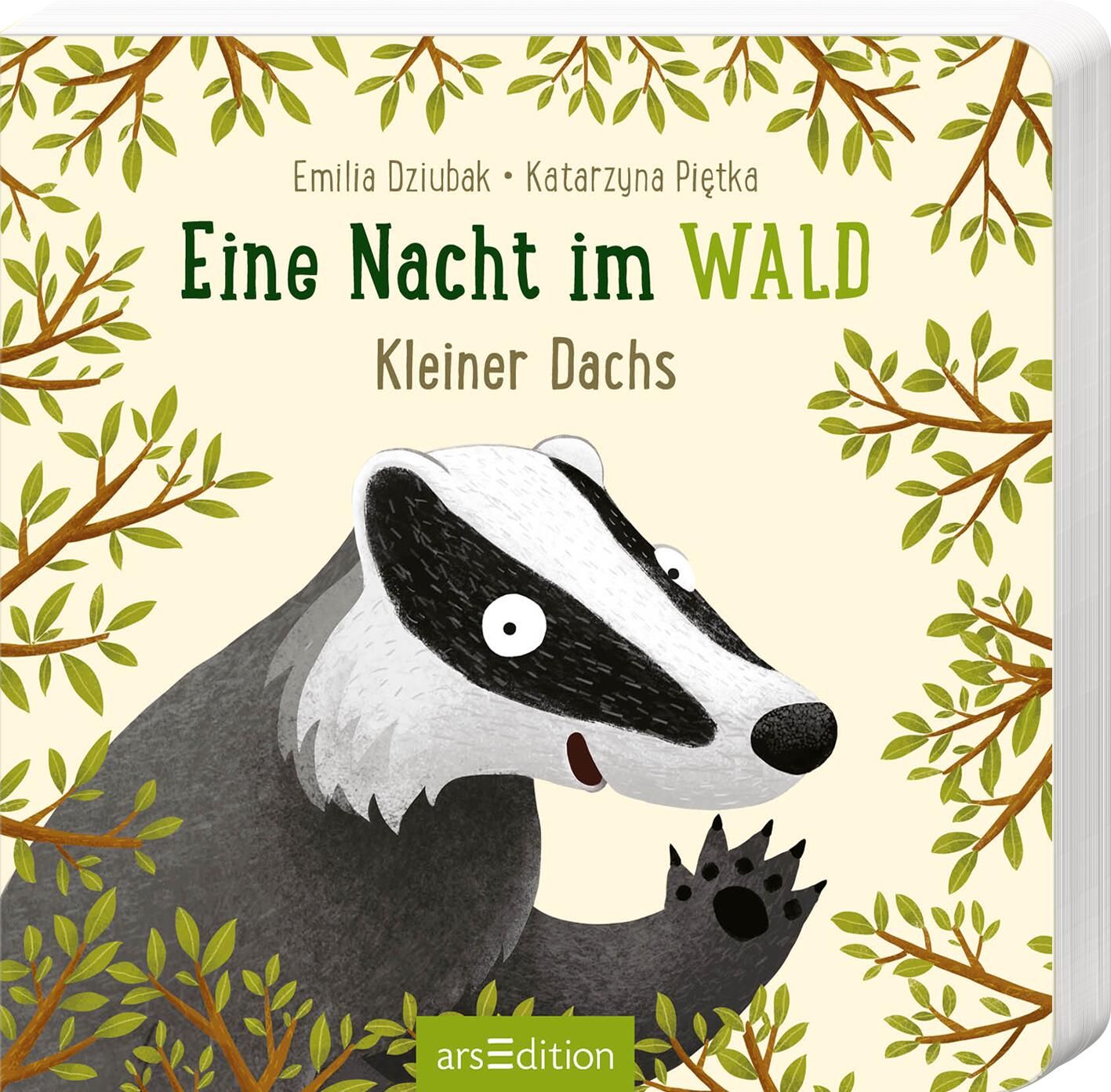 Sparpaket - 3 Pappbilderbücher "Im Wald"