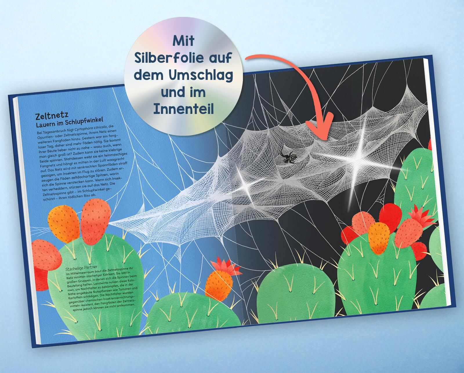 Wunderwelt der Spinnennetze (Mängelexemplar)