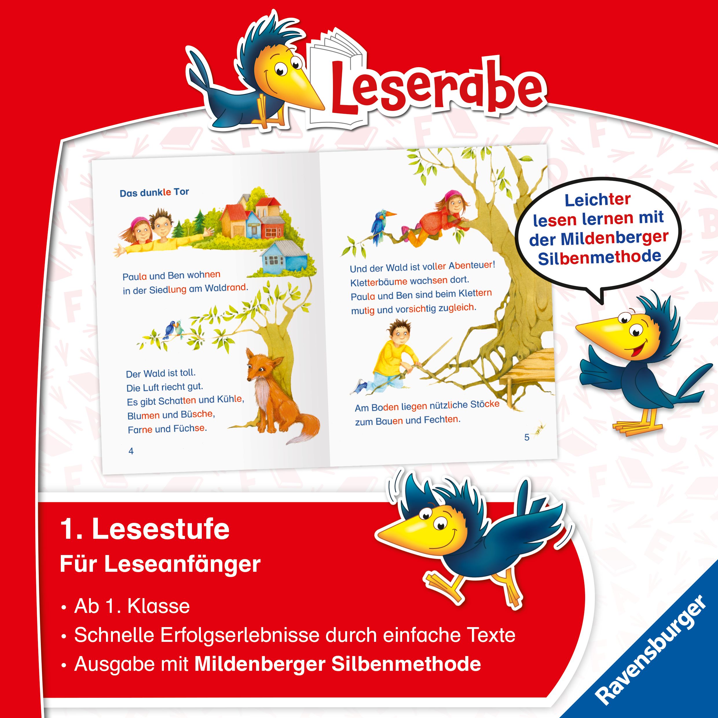Leserabe mit Mildenberger Silbenmethode - Das Rätsel der Drachenhöhle (Mängelexemplar)