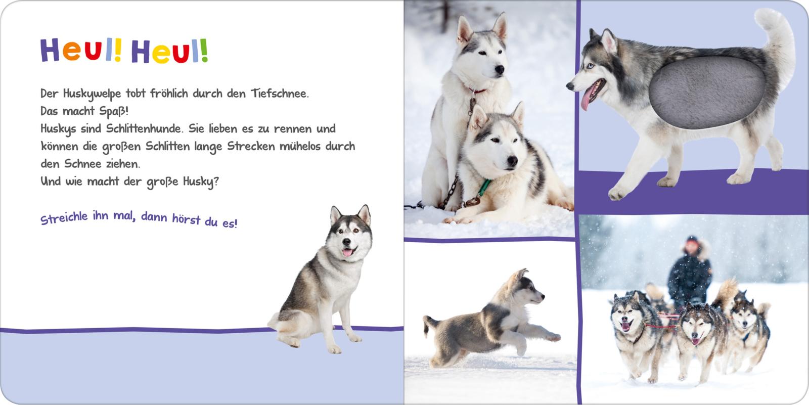 Hör mal rein, wer kann das sein? – Im Winter - Streicheln und hören - Soundbuch (Mängelexemplar)