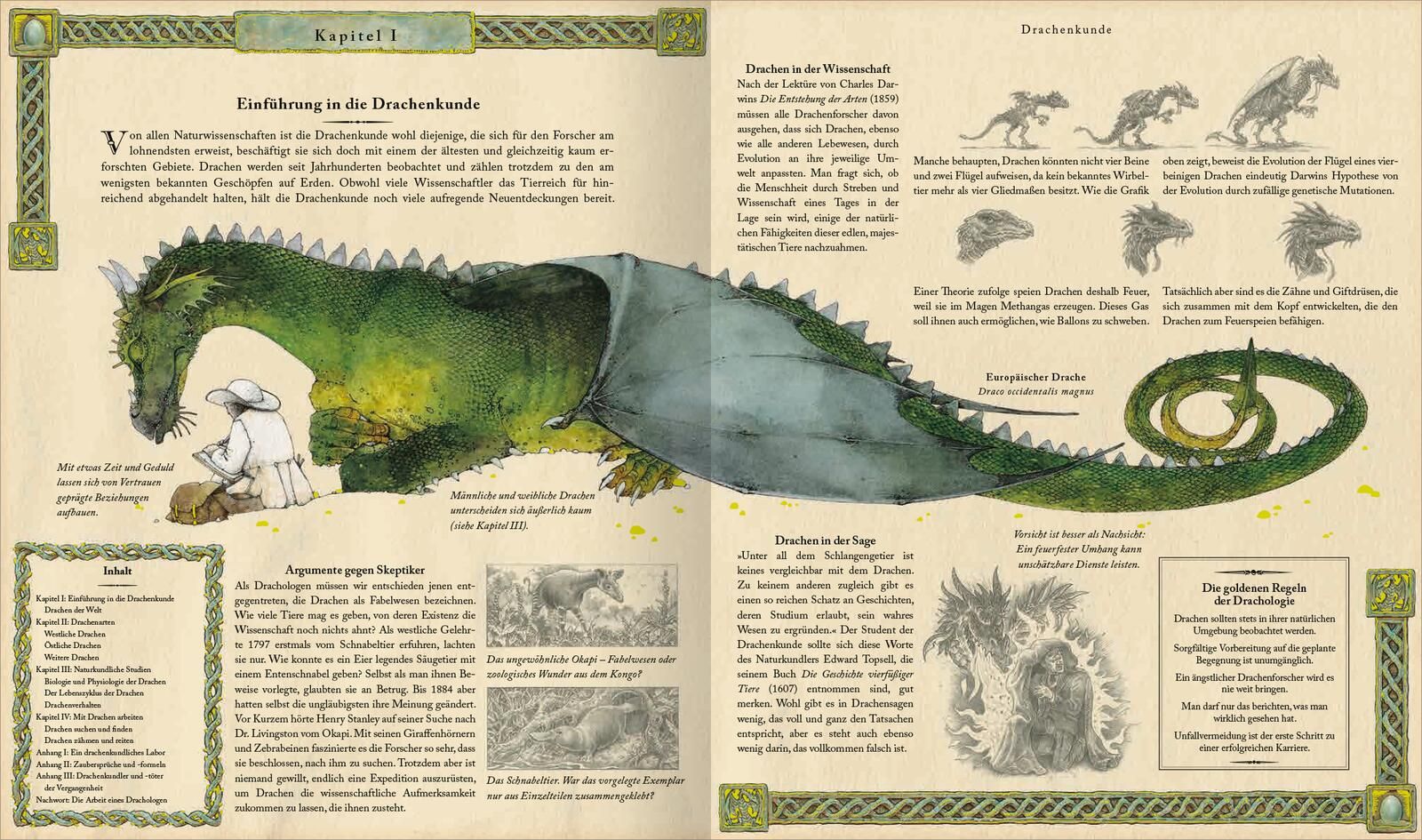 Expedition in die geheime Welt der Drachen (Mängelexemplar)