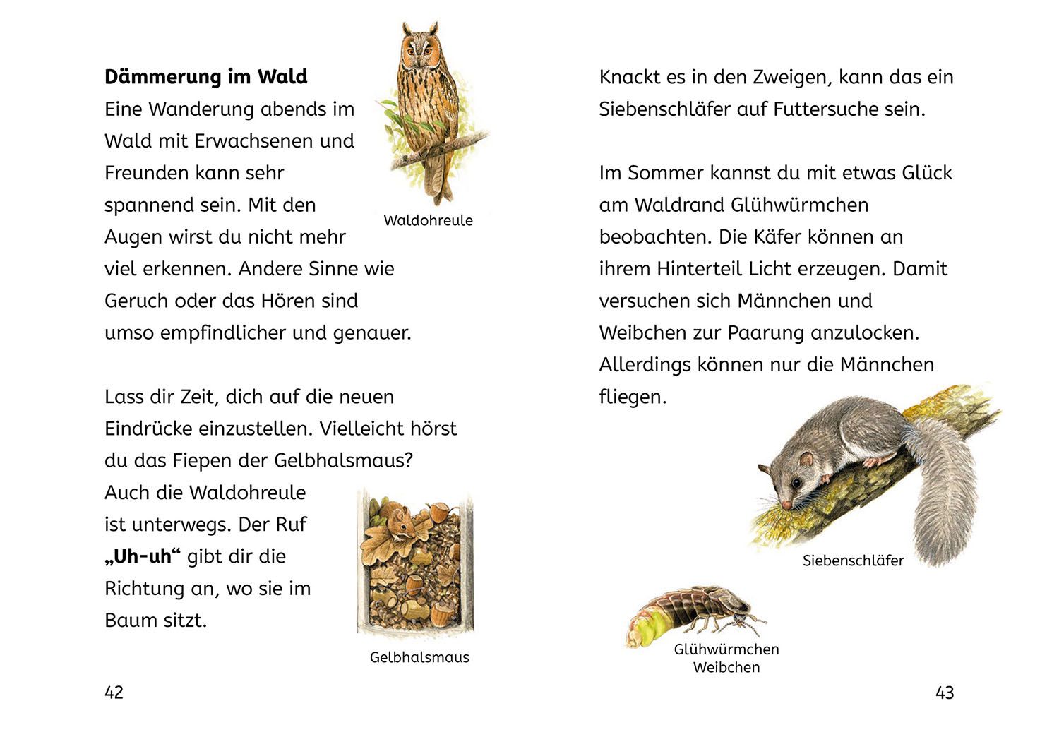 Lesen lernen mit Naturrätseln, Bücherhelden 2. Klasse, Tiere und Pflanzen im Wald (Mängelexemplar)
