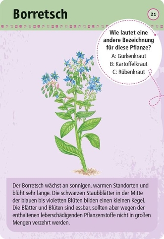 X_Expedition Natur 50 essbare Wildpflanzen - entdecken & bestimmen