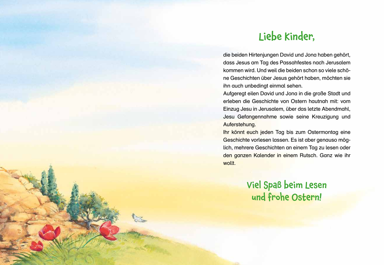 David, Jona und die Geschichte von Ostern (Mängelexemplar)