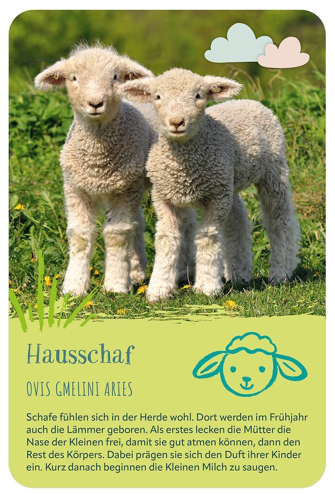 Die 100 süßesten Tierbabys (Mängelexemplar)