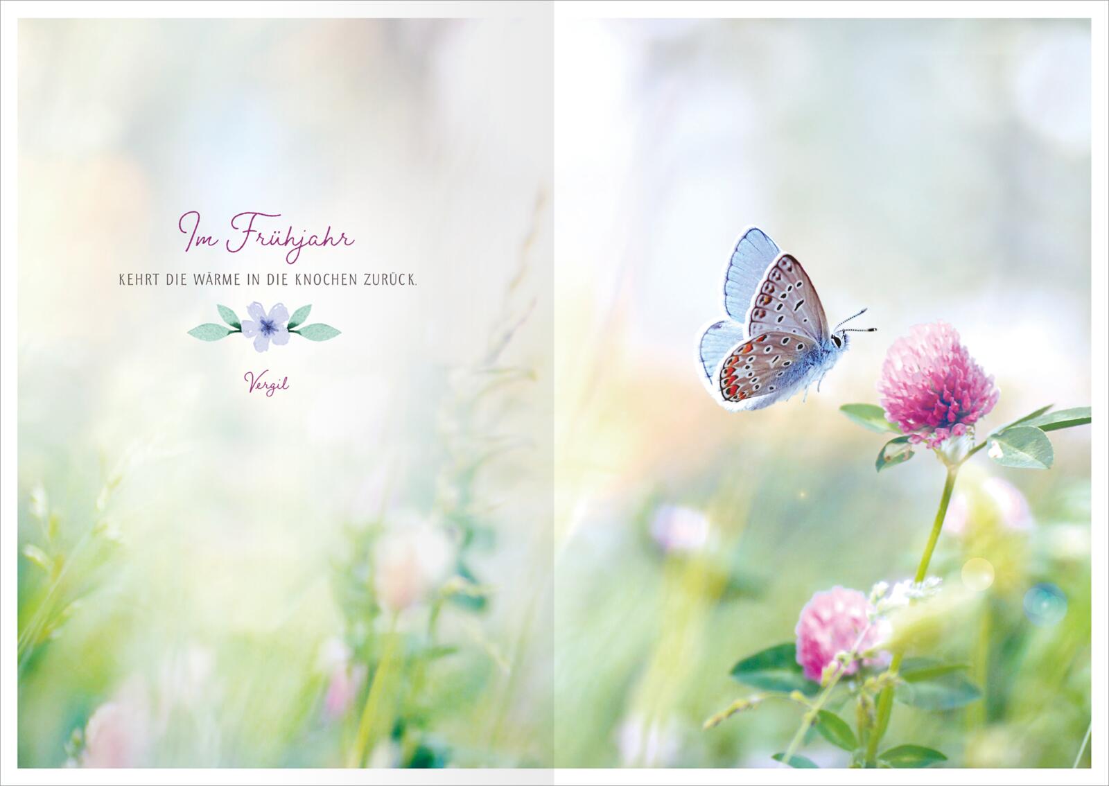 5169f977f069129871f9bccda8a5eeb81706105398