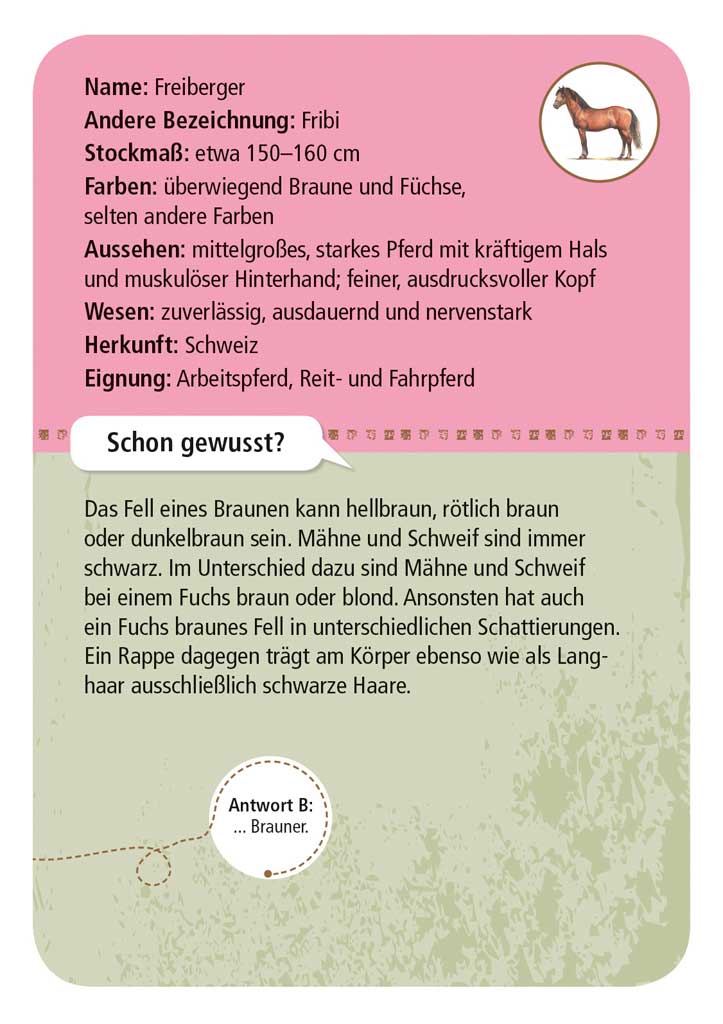 X_Expedition Natur - 50 Pferde & Ponys