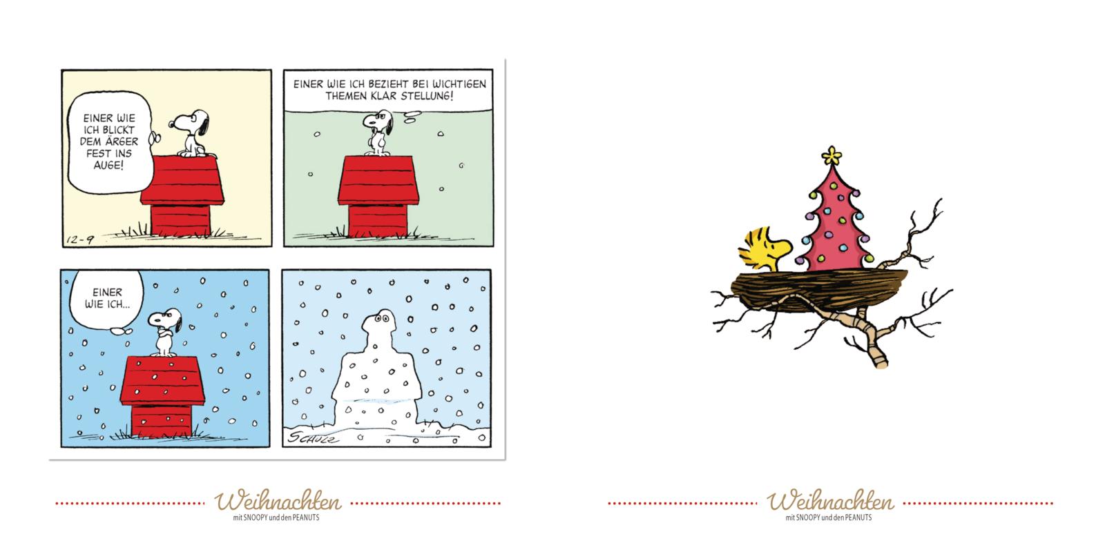 Peanuts Geschenkbuch: Frohe Weihnachten mit Snoopy und den Peanuts (Mängelexemplar)