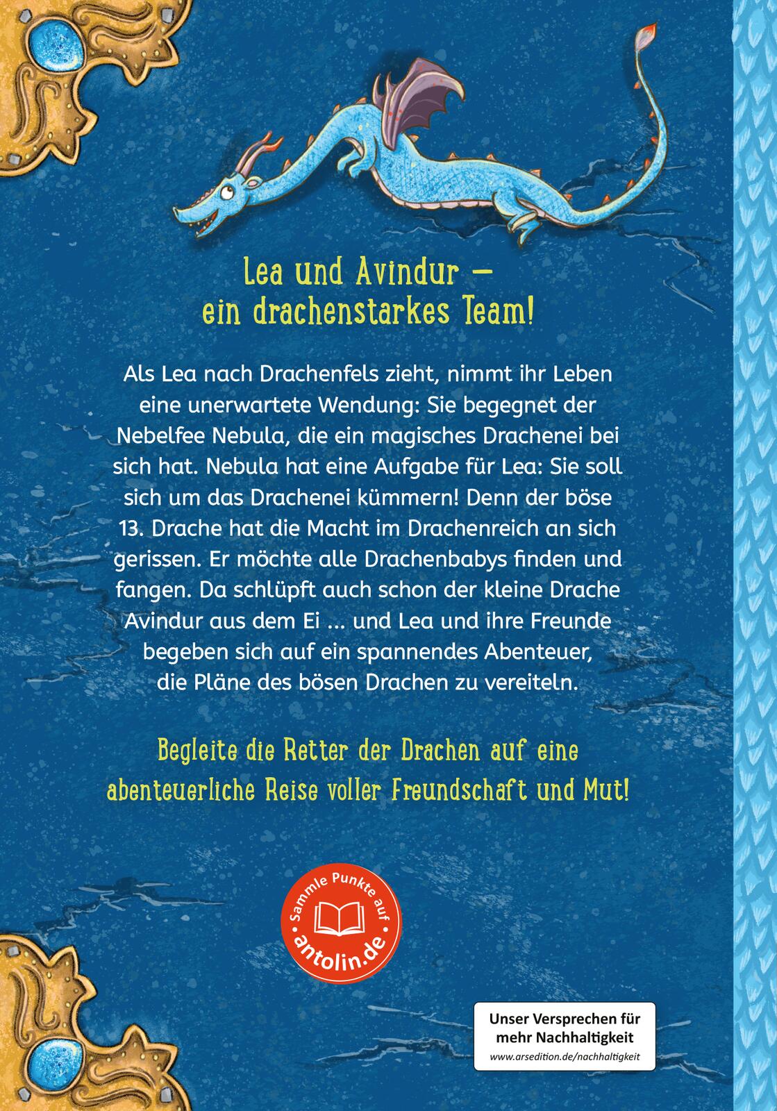 Retter der Drachen – Sei schnell wie der Wind! (Retter der Drachen 1) (Mängelexemplar)