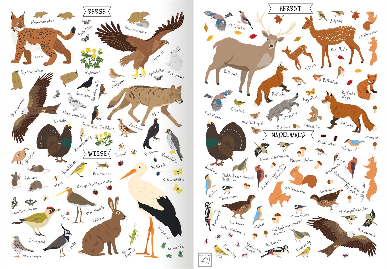 Naturforscher-Kids – Stickerheft Heimische Tierwelt (Mängelexemplar)