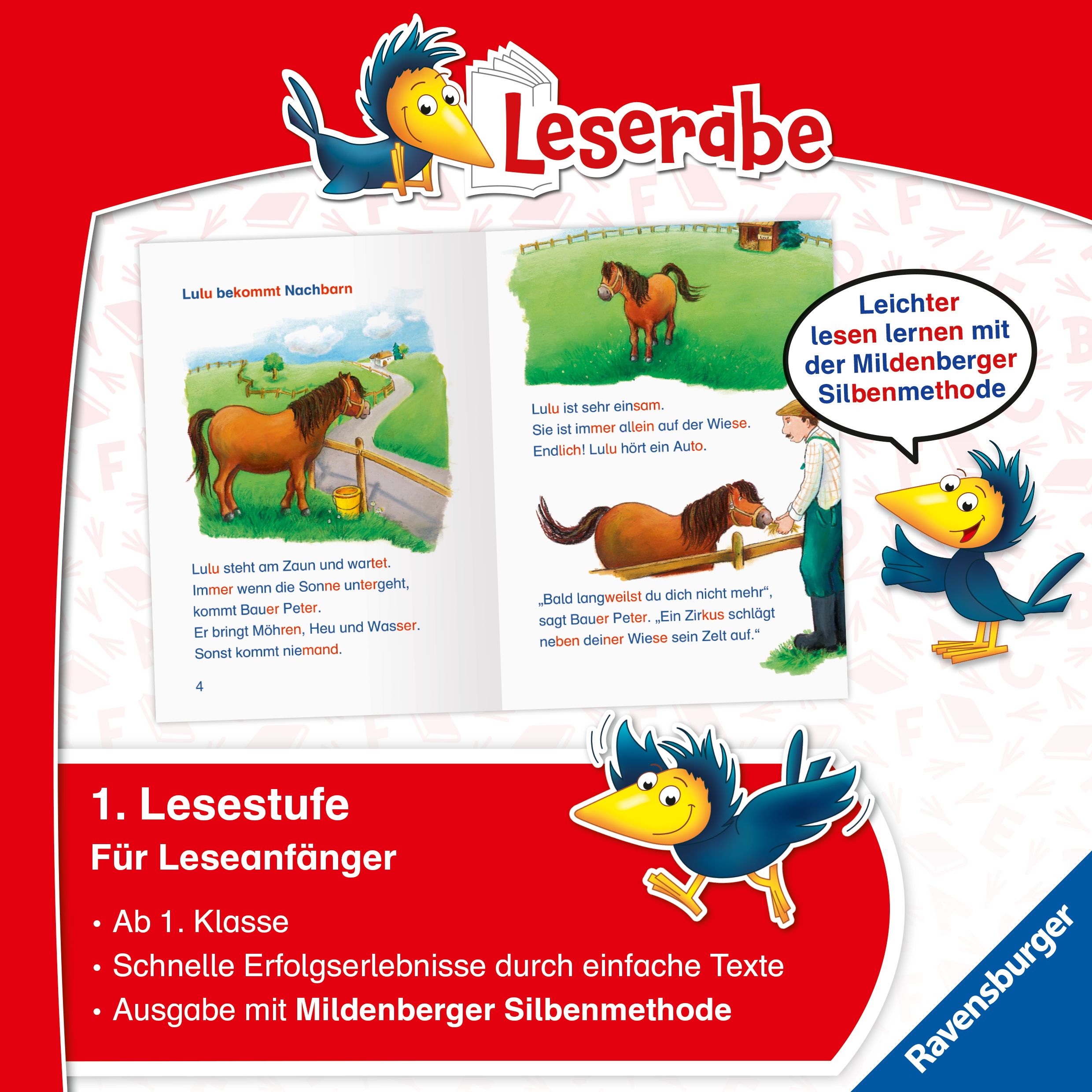 Leserabe mit Mildenberger Silbenmethode - Das tollste Pony der Welt (Mängelexemplar)