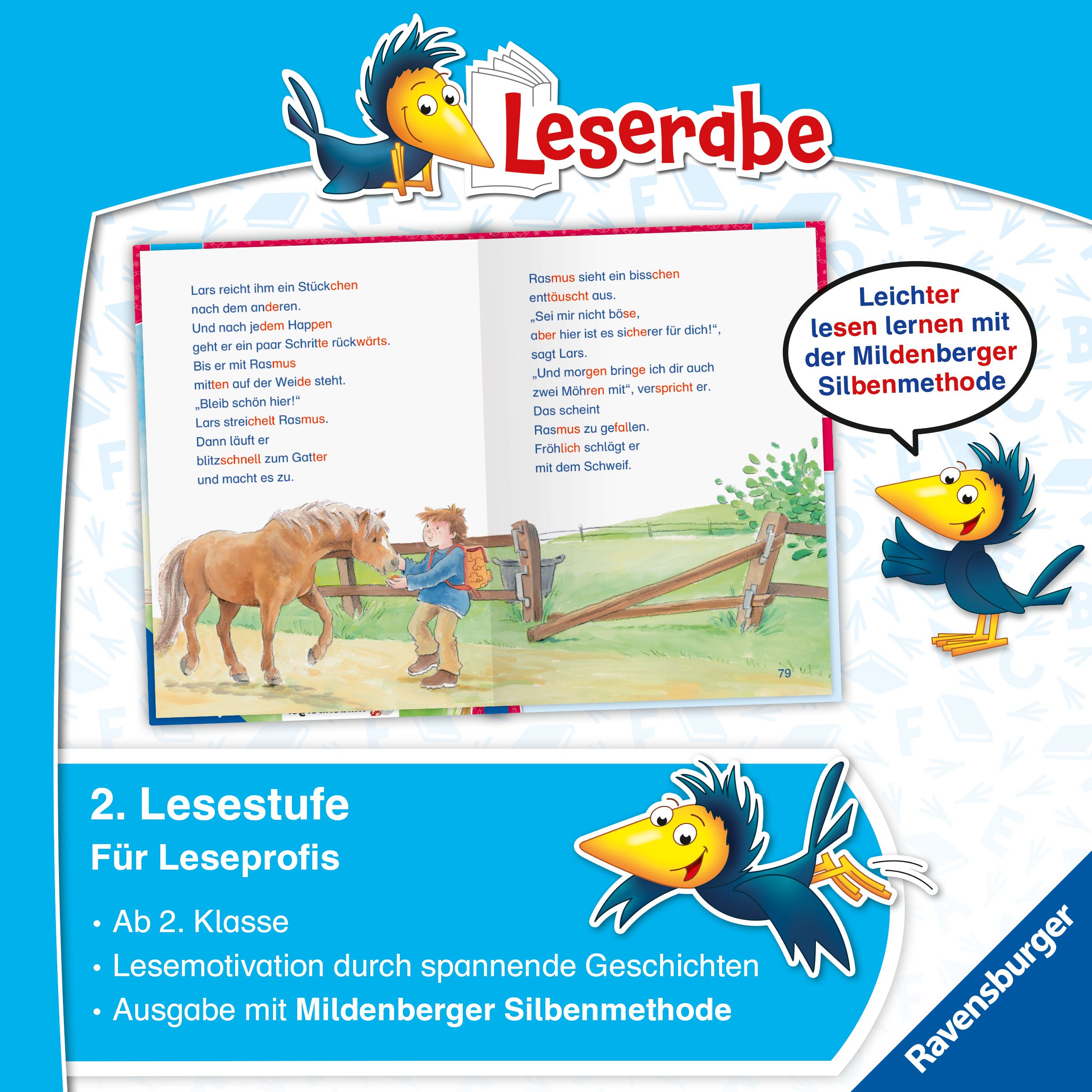 Leserabe Sonderausgaben - Die schönsten Pferdegeschichten - Silbe für Silbe lesen lernen (Mängelexemplar)