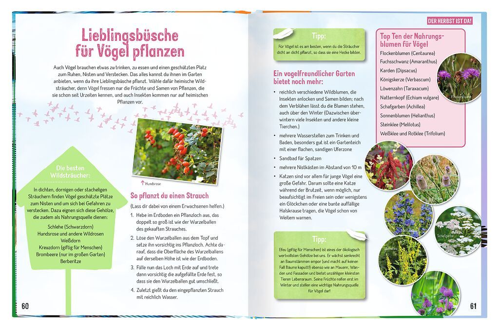 X_Erforsche die Vögel - Ihr Leben rund ums Jahr (Mängelexemplar)