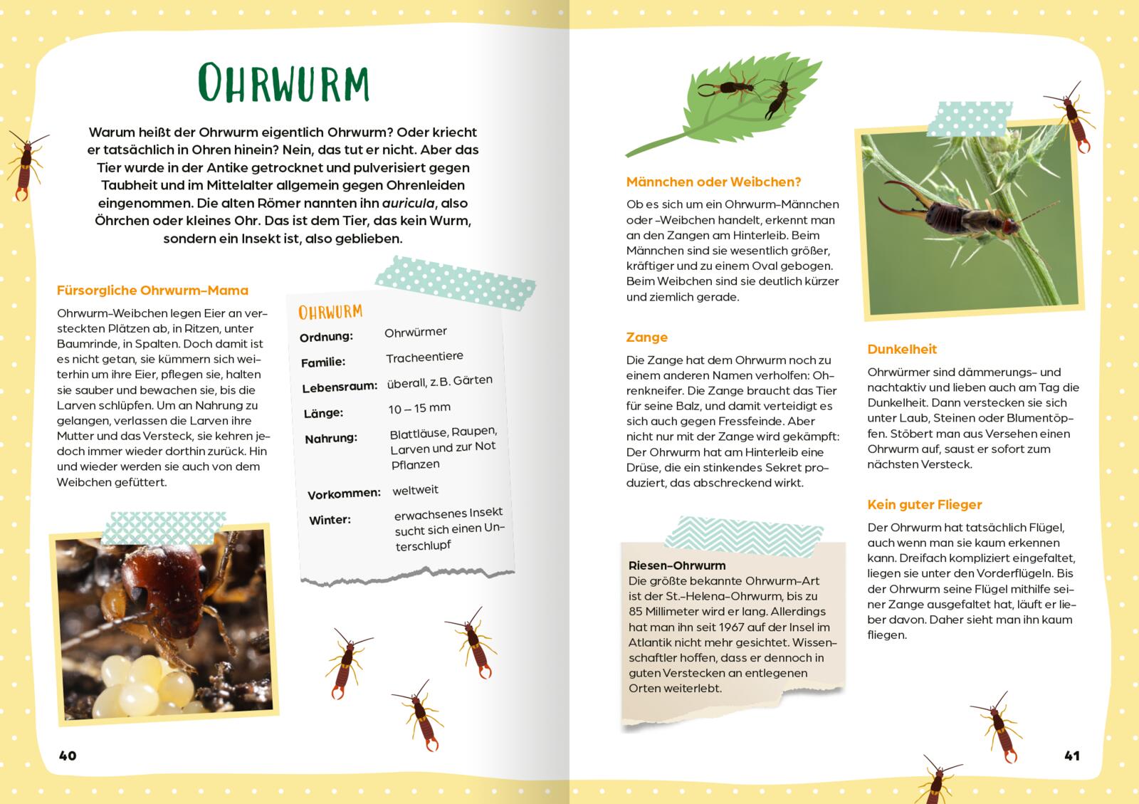 Herzlich willkommen im Insektenhotel - Mit Anleitungen für 10 Insektenhotels