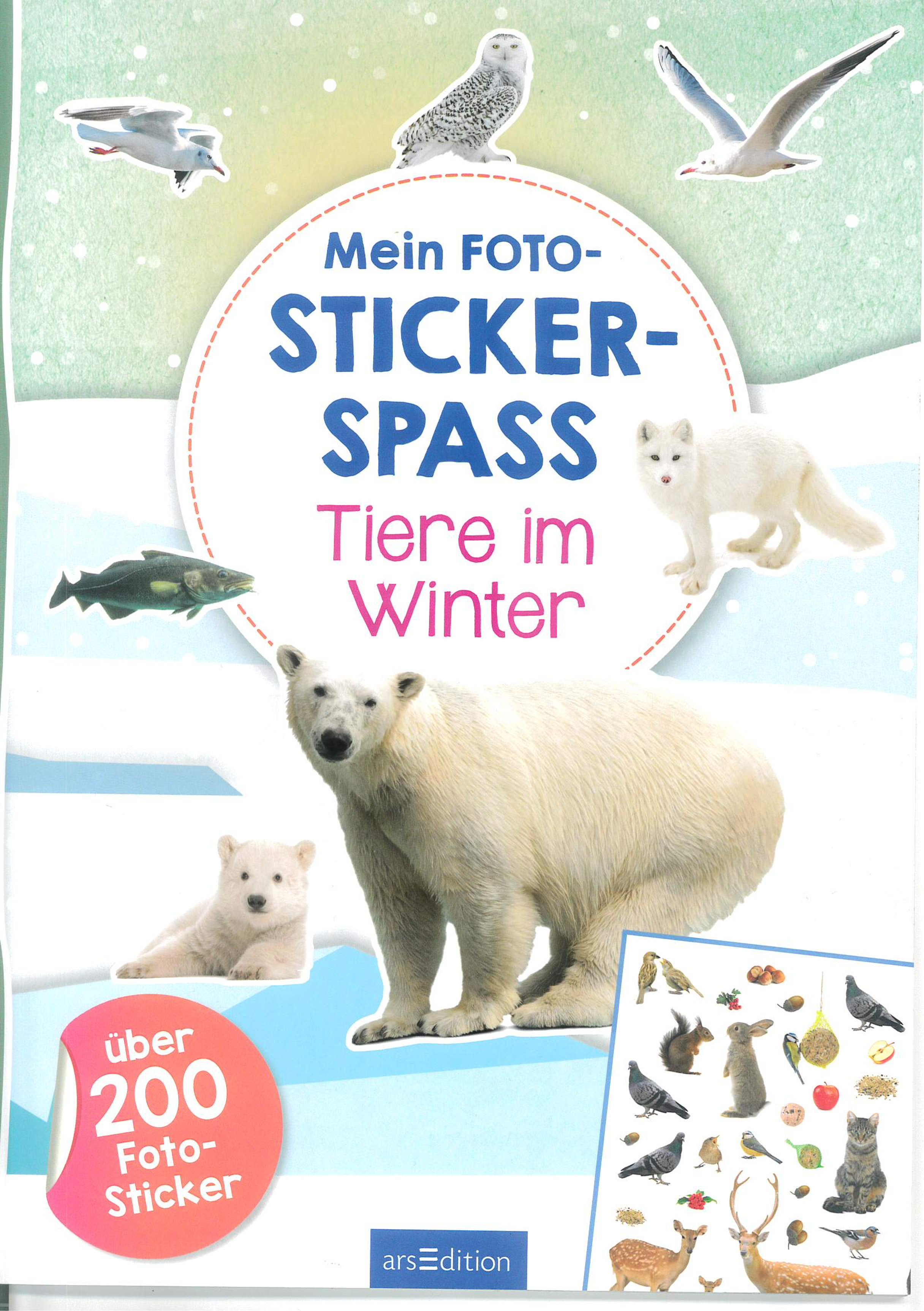 Mein Foto-Stickerspaß - Tiere im Winter (Mängelexemplar) Mein Foto-Stickerspaß - Tiere im Winter (Mängelexemplar)