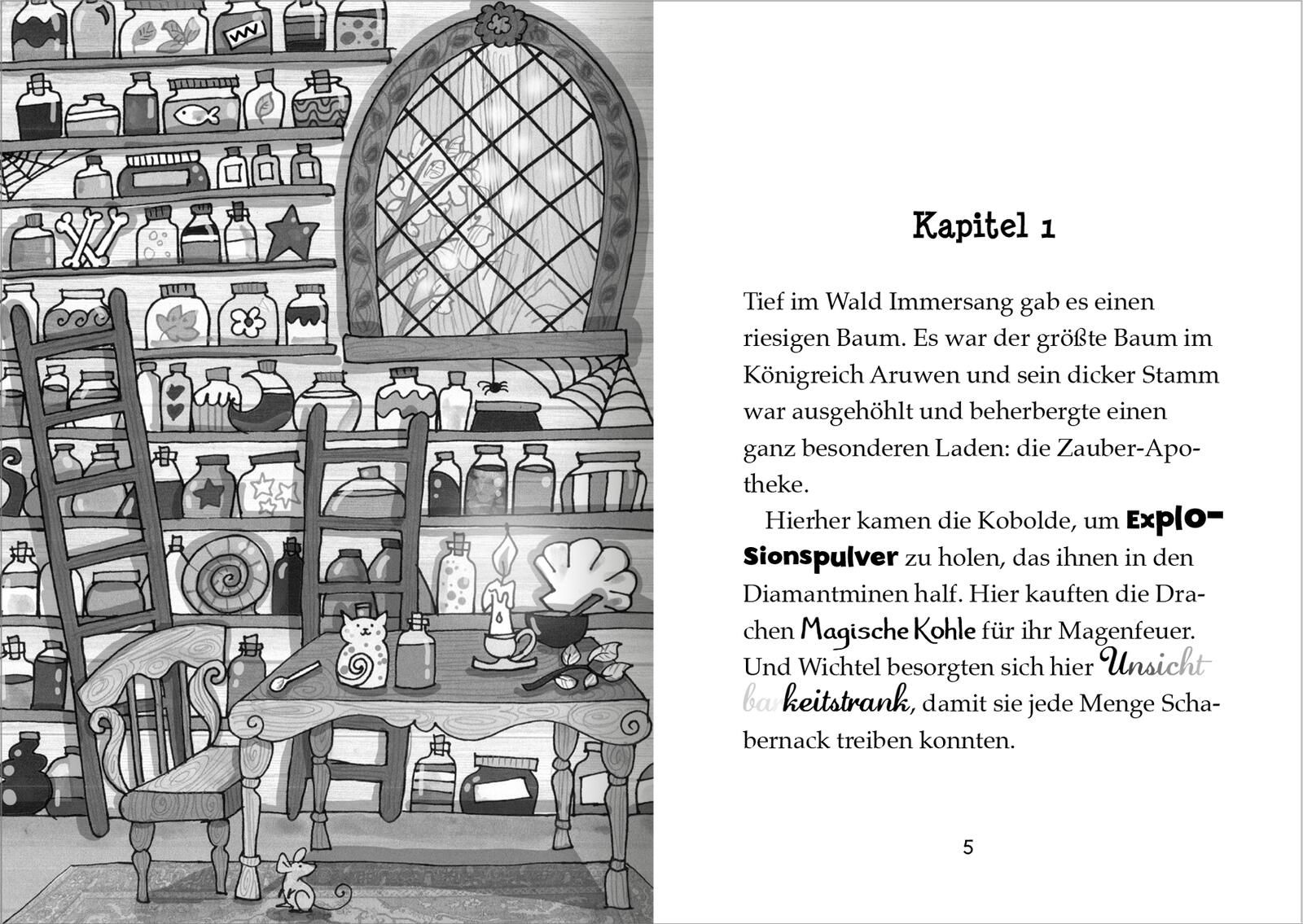 Der kleine Magier – Rettung für das Wasserpferd (Der kleine Magier 2)