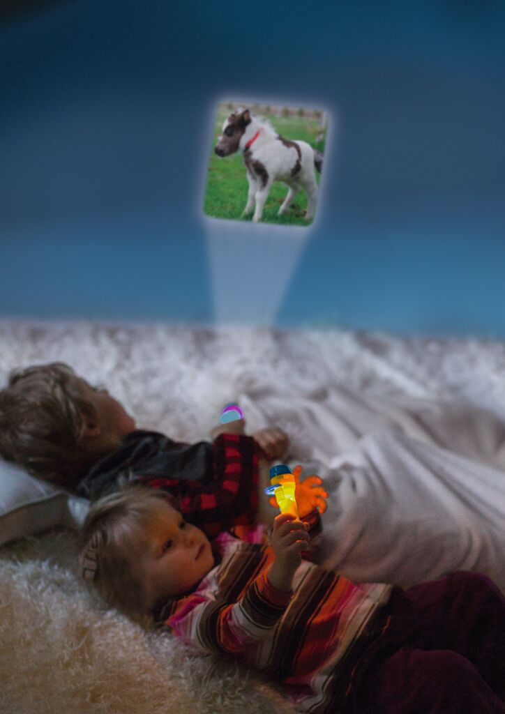 X_Kleine Diashow Pferde