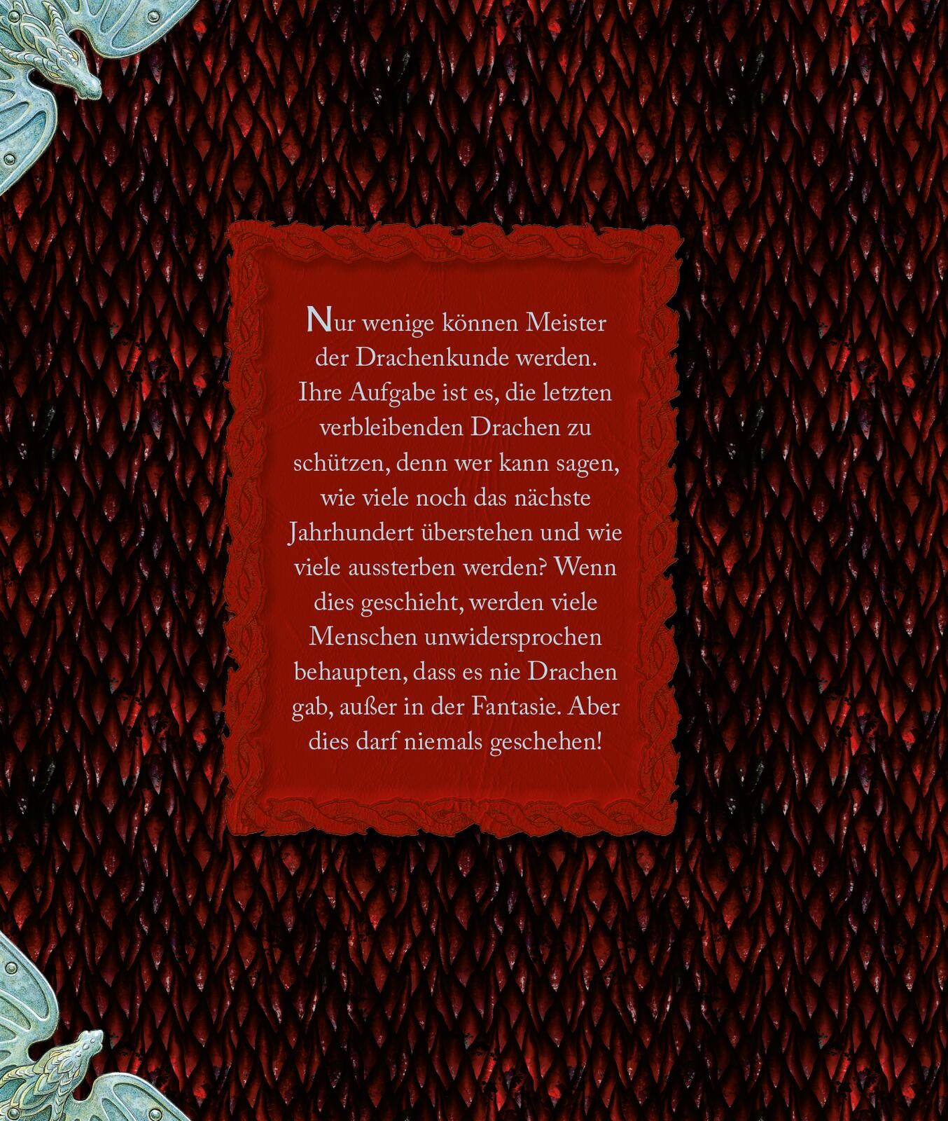 Expedition in die geheime Welt der Drachen (Mängelexemplar)