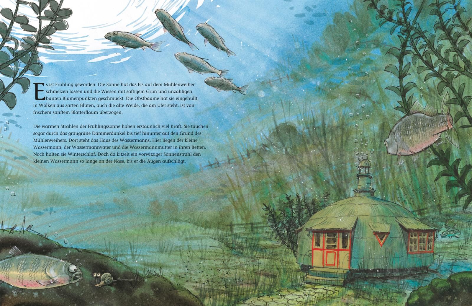 Der kleine Wassermann: Das große Buch vom kleinen Wassermann (Mängelexemplar)