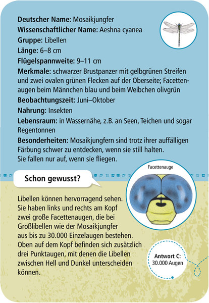 X_Expedition Natur - 50 heimische Insekten & Spinnen