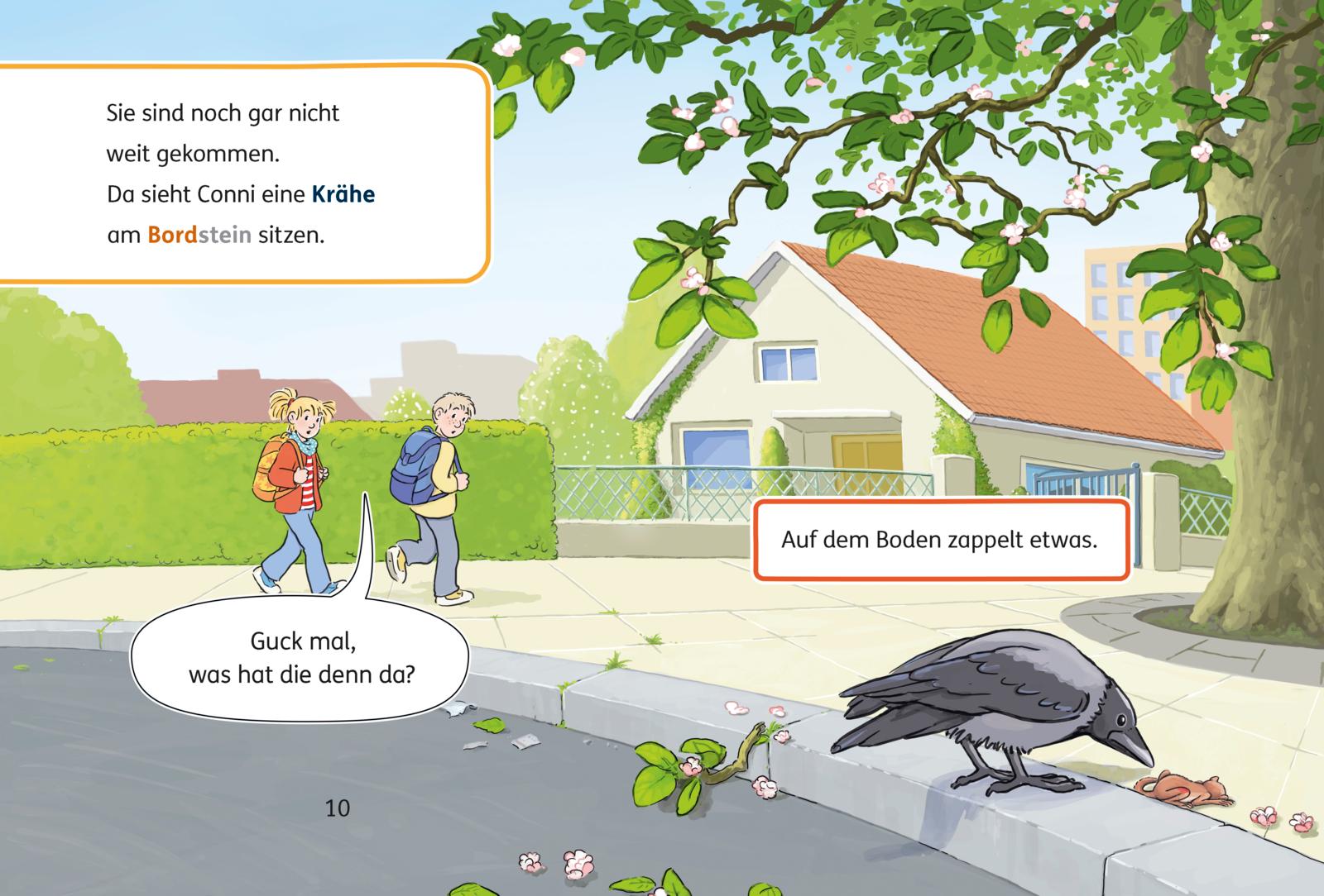 Lesen lernen mit Conni: Conni und das Eichhörnchen (Mängelexemplar)