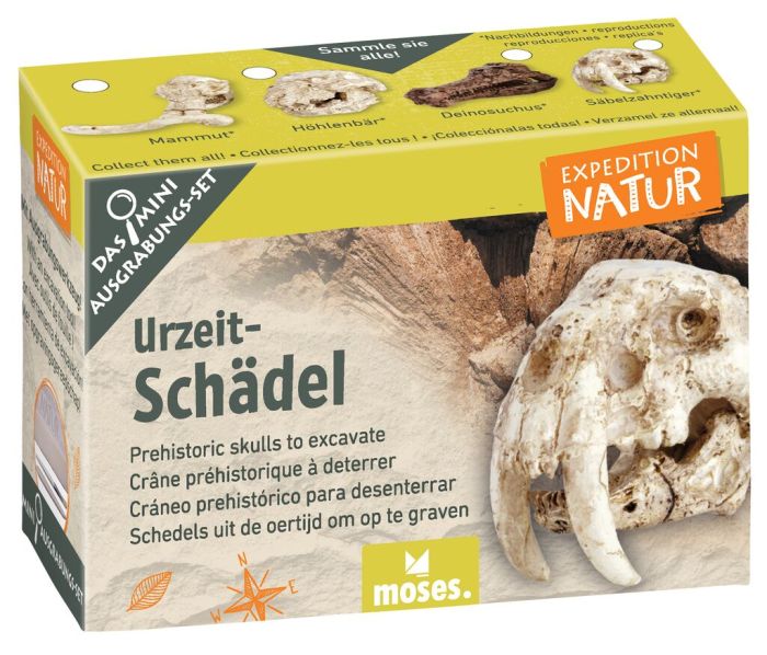 X_Expedition Natur - Mini-Ausgrabungsset (Inhalt wird zufällig gewählt)
