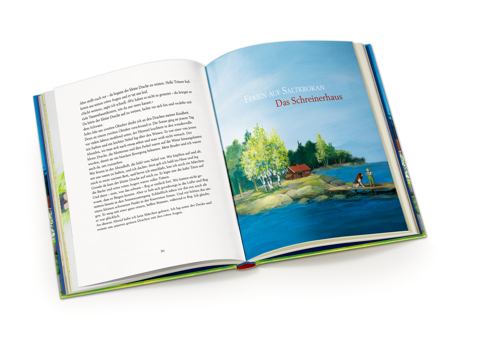 Von Bullerbü bis Lönneberga - Die schönsten Geschichten von Astrid Lindgren (Mängelexemplar)