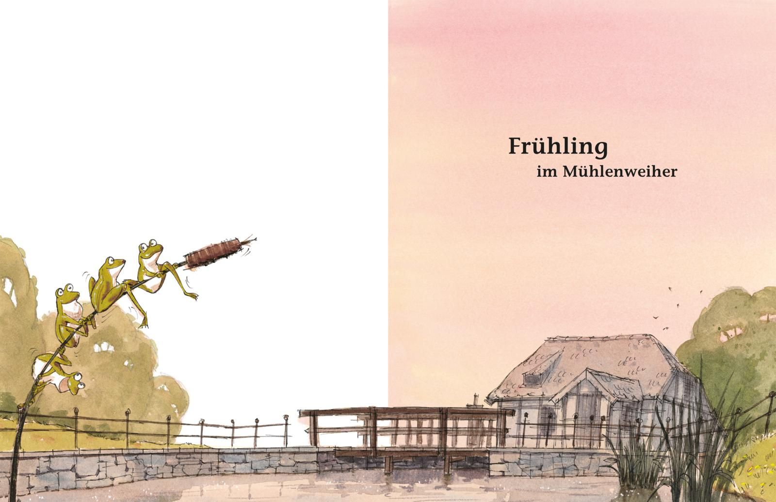 Der kleine Wassermann: Das große Buch vom kleinen Wassermann (Mängelexemplar)