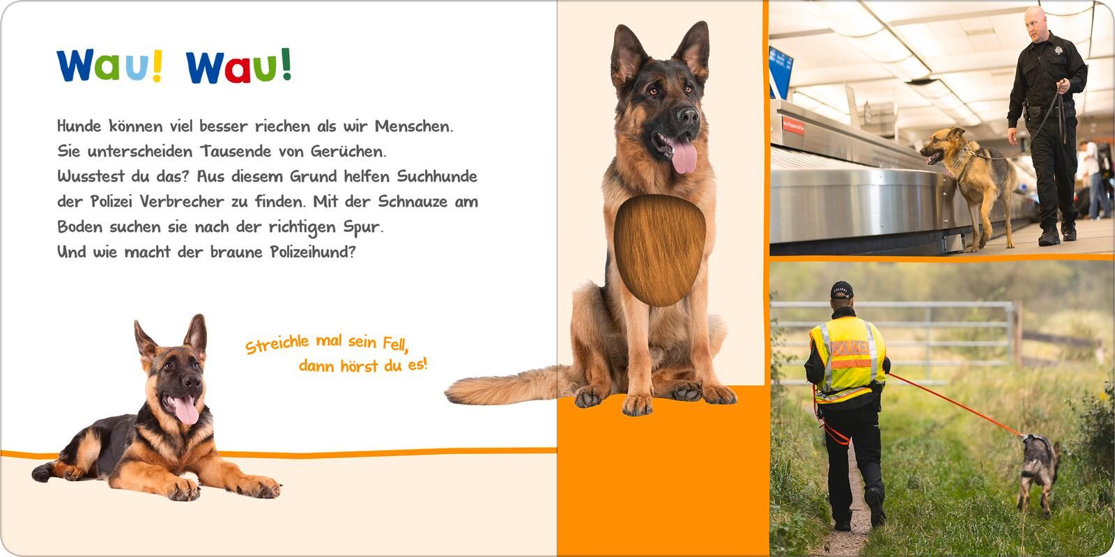 Hör mal rein, wer kann das sein? – Bei der Polizei - Soundbuch (Mängelexemplar)