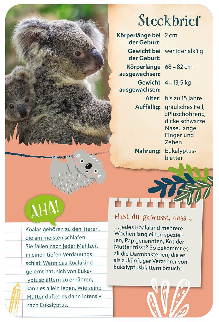 Die 100 süßesten Tierbabys (Mängelexemplar)