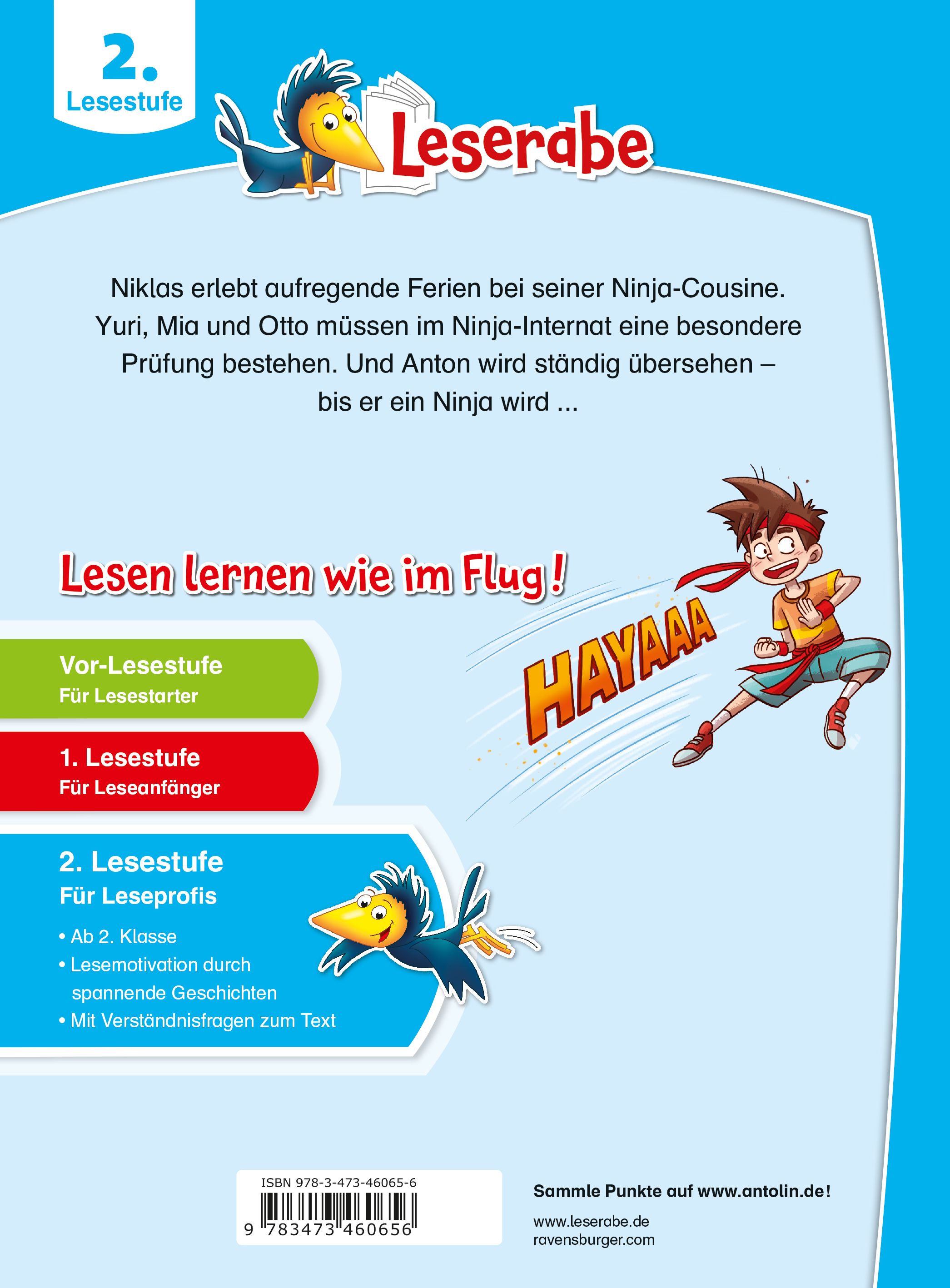 Leserabe 2. Lesestufe - Ninjageschichten (Mängelexemplar)