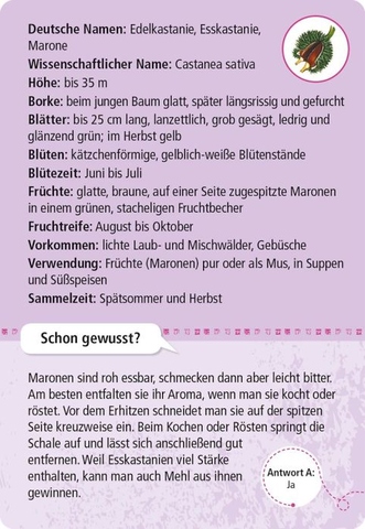 X_Expedition Natur 50 essbare Wildpflanzen - entdecken & bestimmen