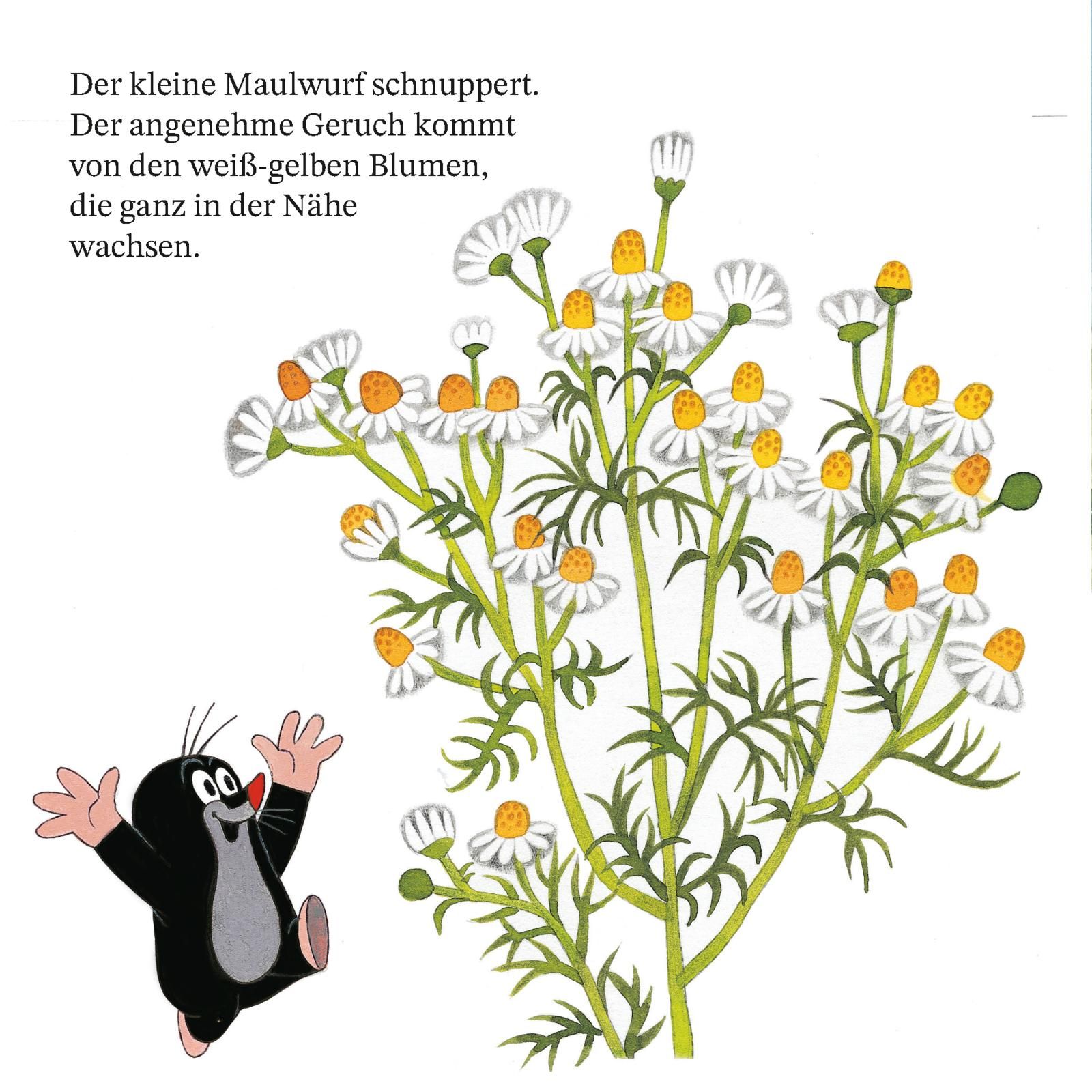 Maxi Pixi 468: Ein Tag mit dem kleinen Maulwurf (Mängelexemplar)