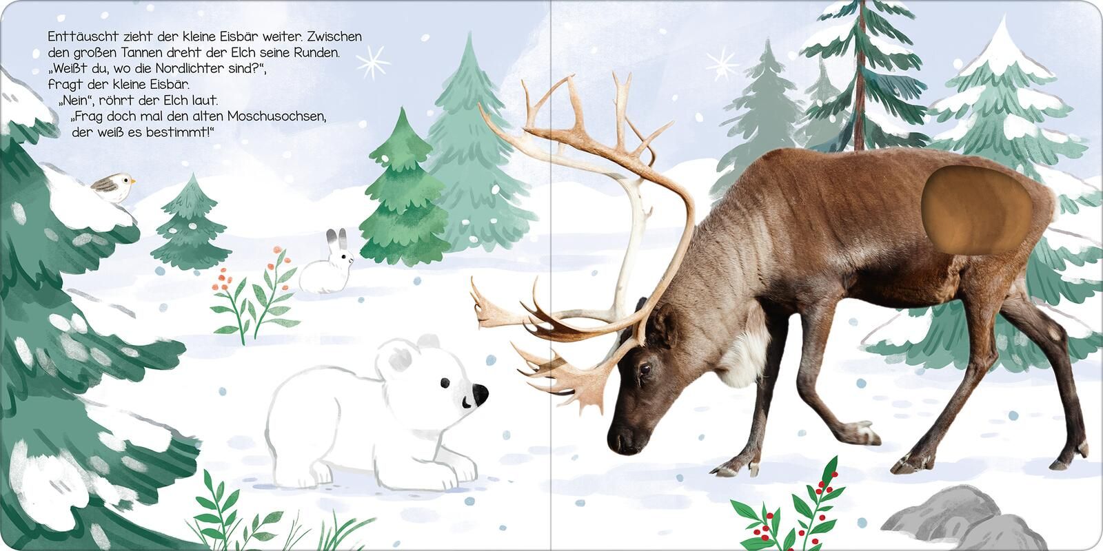 Hör mal, kleiner Eisbär! Soundbuch