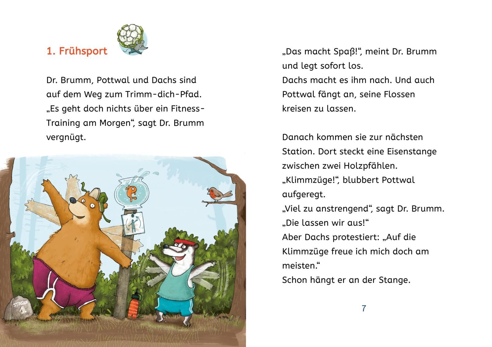 Kleine Lesehelden: Dr. Brumm und die verflixte Gemüsekiste (Mängelexemplar)